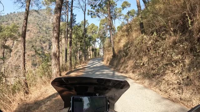 POV Motorcycle Ride Through Scenic Pine Forest Mountain Road of Himachal Pradesh