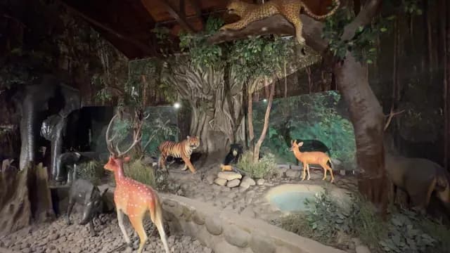 Wild Animal Diorama in Natural History Museum, Jim Corbett, Uttarakhand