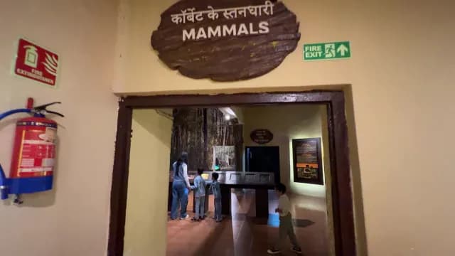Educational Wildlife Exhibit at Jim Corbett National Park Museum, Jim Corbett, Uttarakhand