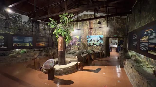 Educational Wildlife Exhibit with Tree of Life and Nature Displays, Jim Corbett, Uttarakhand