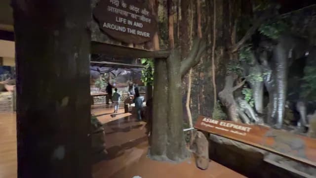 Exploring Natural History Museum Exhibit Jim Corbett, Uttarakhand Showing Asian Elephant Display
