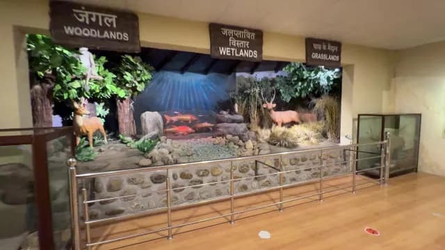 Educational Museum Exhibit Showcasing Woodlands Wetlands and Grasslands Ecosystems of Jim Corbett, Uttarakhand
